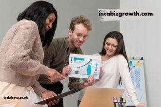 incabizgrowth.com